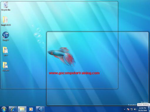 Windows 7 aero peek view